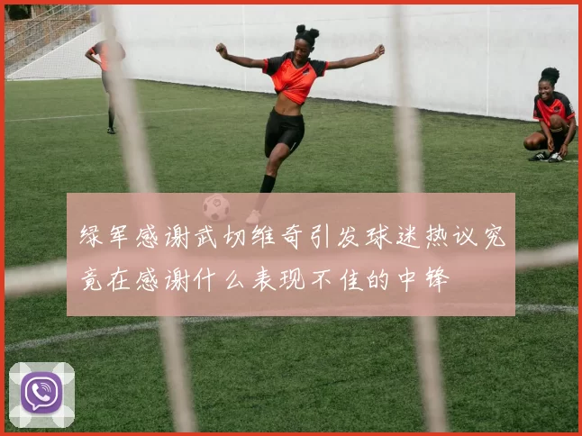 绿军感谢武切维奇引发球迷热议究竟在感谢什么表现不佳的中锋